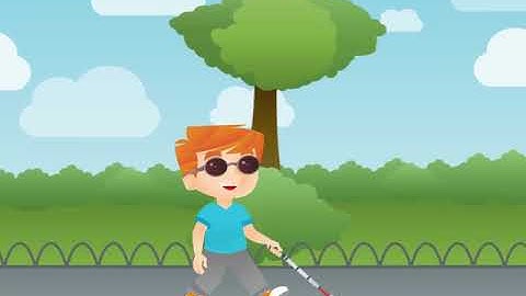 video deficiencia visual