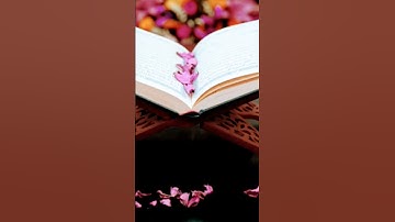 سورة الفاتحة بصوت@عبدالمجيد_العبود