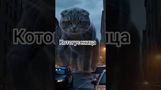 Котогусеница Фильм Катастрофа #Котогусеница