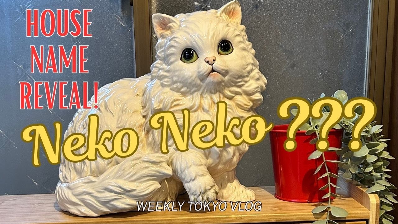 Мы наконец-то раскрываем название нового дома!