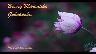 Marantika Broery - My composed songs and lyrics