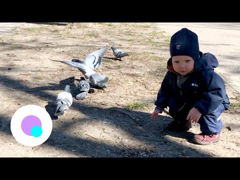 Video: Talvine Jalutuskäik Väikelapsega