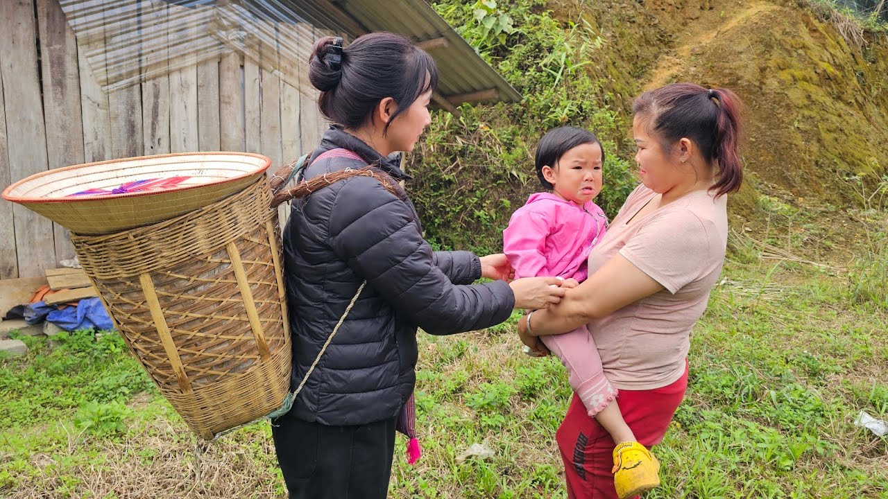 Harvesting cucumbers in the early season to sell - With help from neighbors - Making sushi rolls.