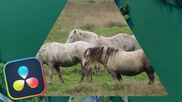 Triangle iris Transition l Davinci Resolve 20