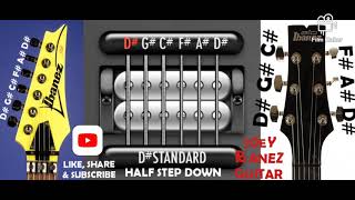 27 6 Strings D STANDARD Eb TUNING HALF STEP DOWN D G C F A D