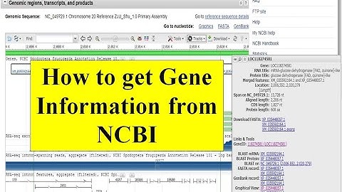 How to find gene information from NCBI gene ID | Transcript ID | Gene name from NCBI