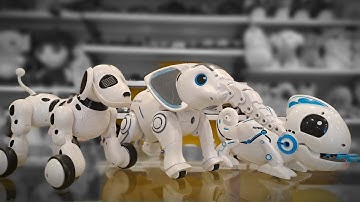 Rc Programmable Elephant Robot , RC dog Robot ,  Chameleons Robot Testing _ @tintoys