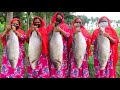 Delicious White Snapper Fish Vuna - 5 big Koral Fish Curry Cooking By Women For 300+ Villagers