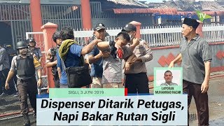 Download Lagu Miila Bakar MP3 Miila Bakar
