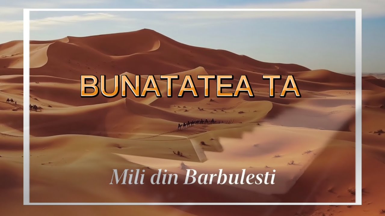 MILIDINBARBULESTI   BUNTATEA TA   Feat Elvis    Video Official 2022 