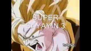 Fases de Goku  1,2,3,4,