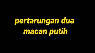 Silat betawi screenshot 3