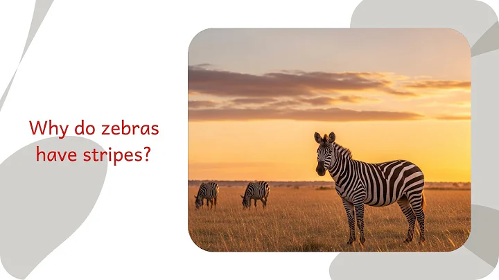 Why do zebras have stripes? II The hidden story behind everyday habits
