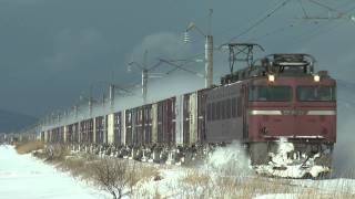 EF81 31　雪晴れの雪原を走る