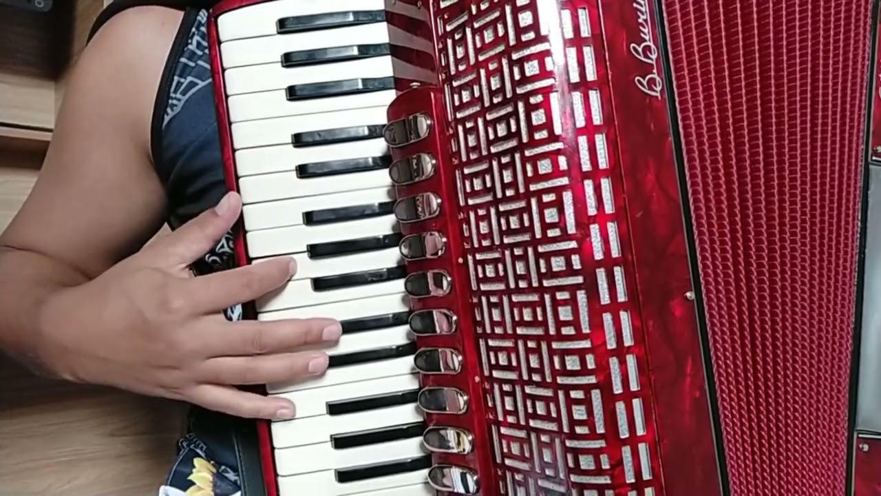 Vídeo Aula Acordeon 