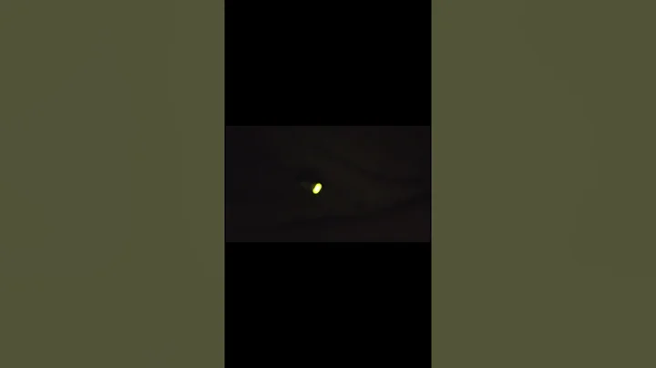 #firefly #egg glowing #lighting egg #bug #shorts #trending #youtubeshorts #Cosmicbangs