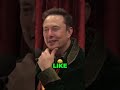 Elon Musk's Controversial Pizza Choice: Pineapple &amp; Anchovy