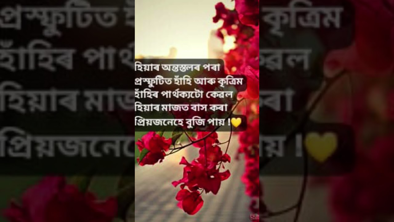 quotes for you # quotesforyou 