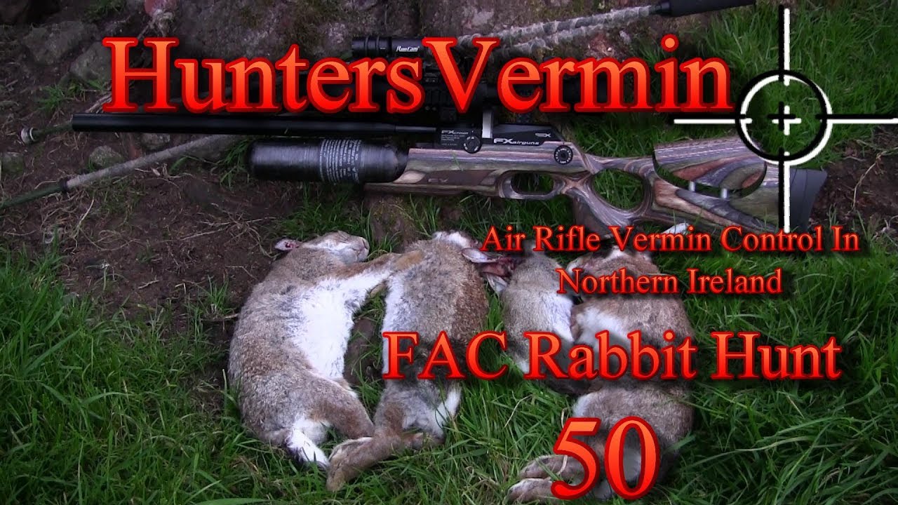 Air Rifle Hunting, FAC Rabbit Hunt 50 YouTube
