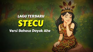 Stecu cover terbaru 2025