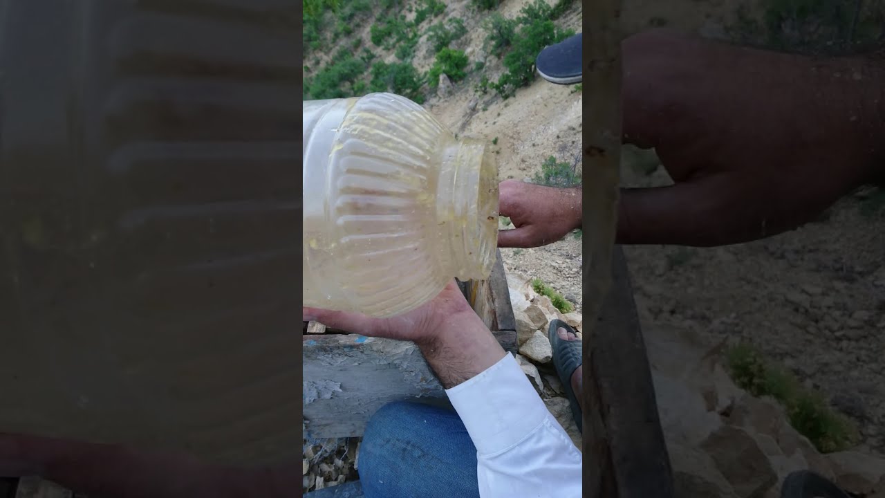 ARI YAKALAMA TEKNİĞİ ÜÇÜNCÜ KENDİ GELEN