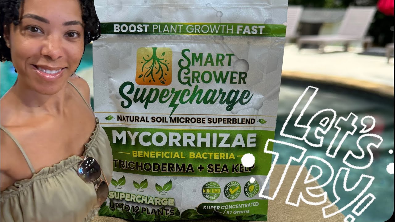 Trying out Smart Grower Mycorrhizal Fungi on my Rain Lily