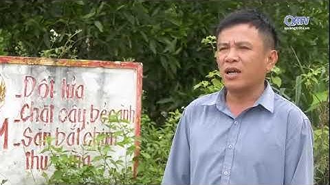 Hiệu quả ứng dụng công nghệ thông tin trong công tác quản lý và bảo vệ rừng