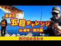 【なななFish】真冬の五目チャレンジin串本・南大阪【釣行詰め合わせ】【ゴールデンミーン】