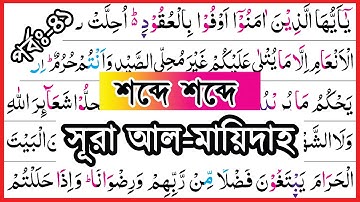 Ep-41 Surah Al-Maidah, verses~55 and 56 | সূরা আল মায়েদাহ, আয়াত~৫৫ ও ৫৬ | سورة المائدة | sura maida