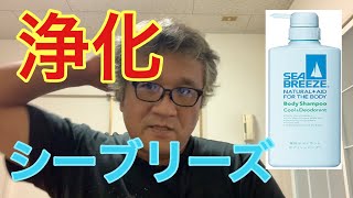 【スッキリ】シーブリーズで浄化法