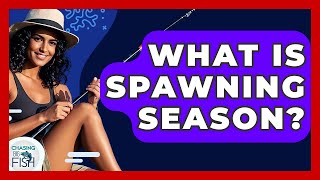 What Is Spawning Season? - Chasing Big Fish