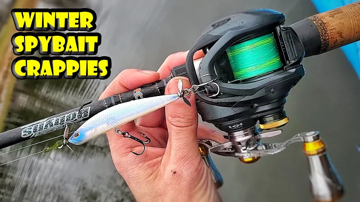 BFS Fishing Spy Baits for Crappies on Dobyns Sierra Ultra Finesse and Shimano Curado BFS