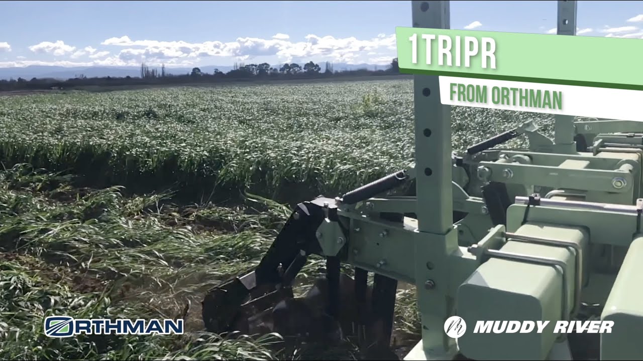 Orthman 1tRIPr in action  - an engineered process in which individual components work in unison