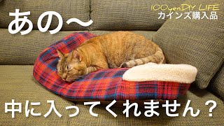 【猫用冬物購入品】ドーム型お家を買った結果…｜ペティオ猫用こたつ｜カインズ