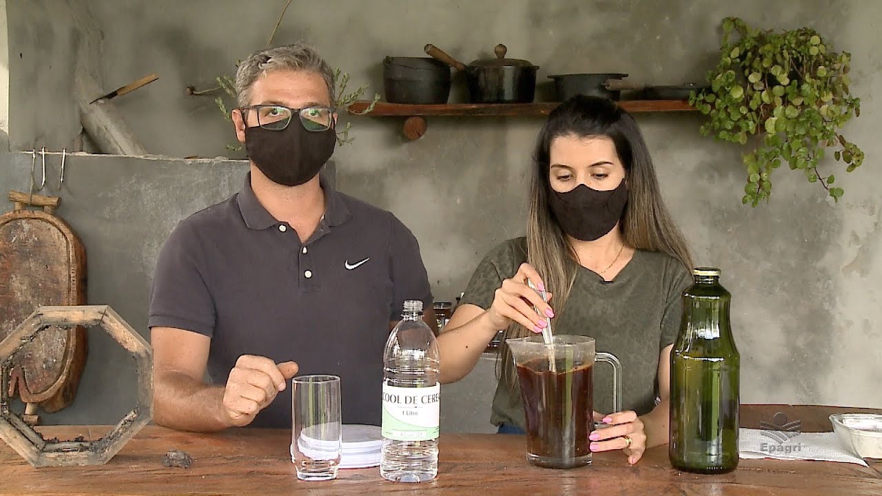 Extrato de própolis de ASF - Aprenda a fazer