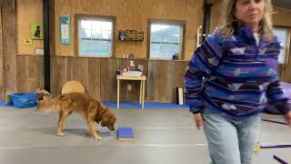 Jones Movement Puzzles Level 3 balance exercise