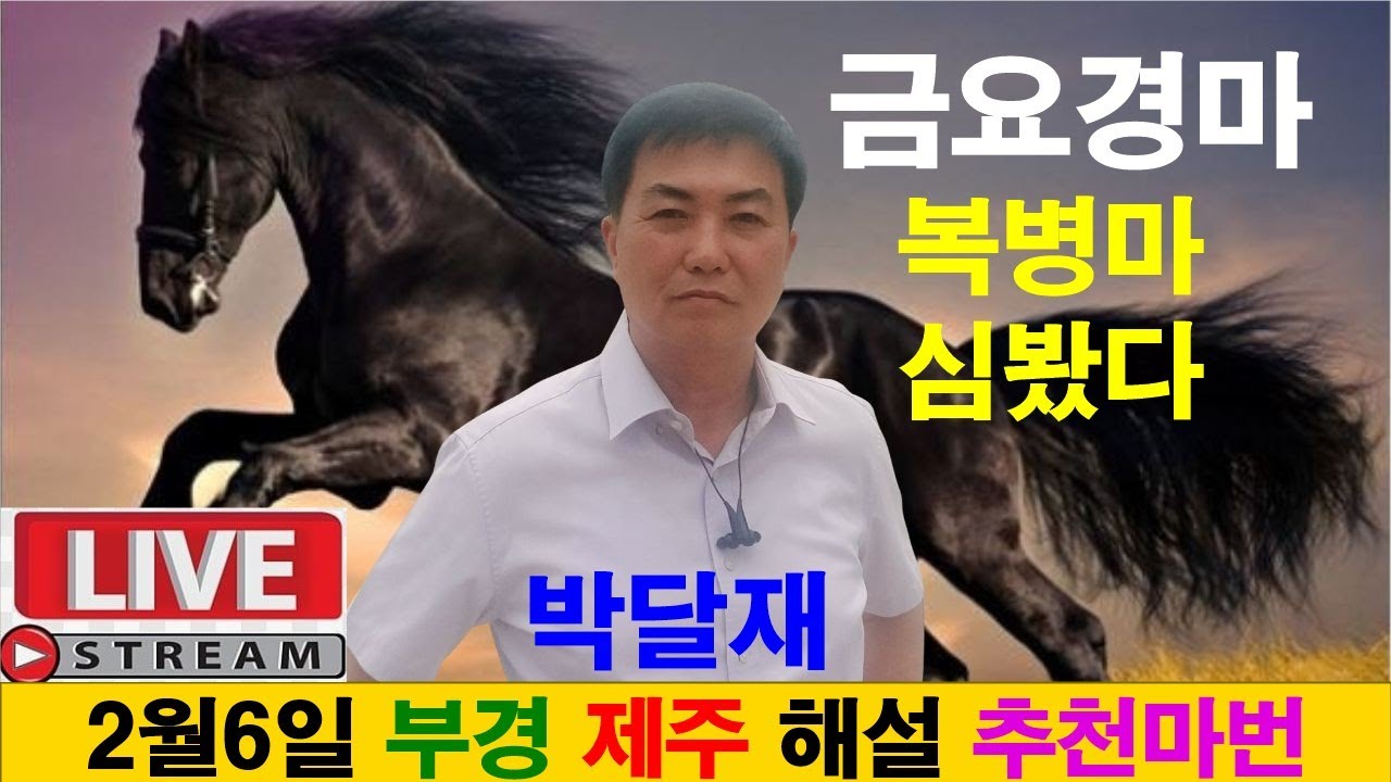 2월6일 금요경마 경마예상 추천마번 복병마 배당마 온종일 라이브 방송 서울경마 부경경마 경주분석 추천마번 예상방송 박달재