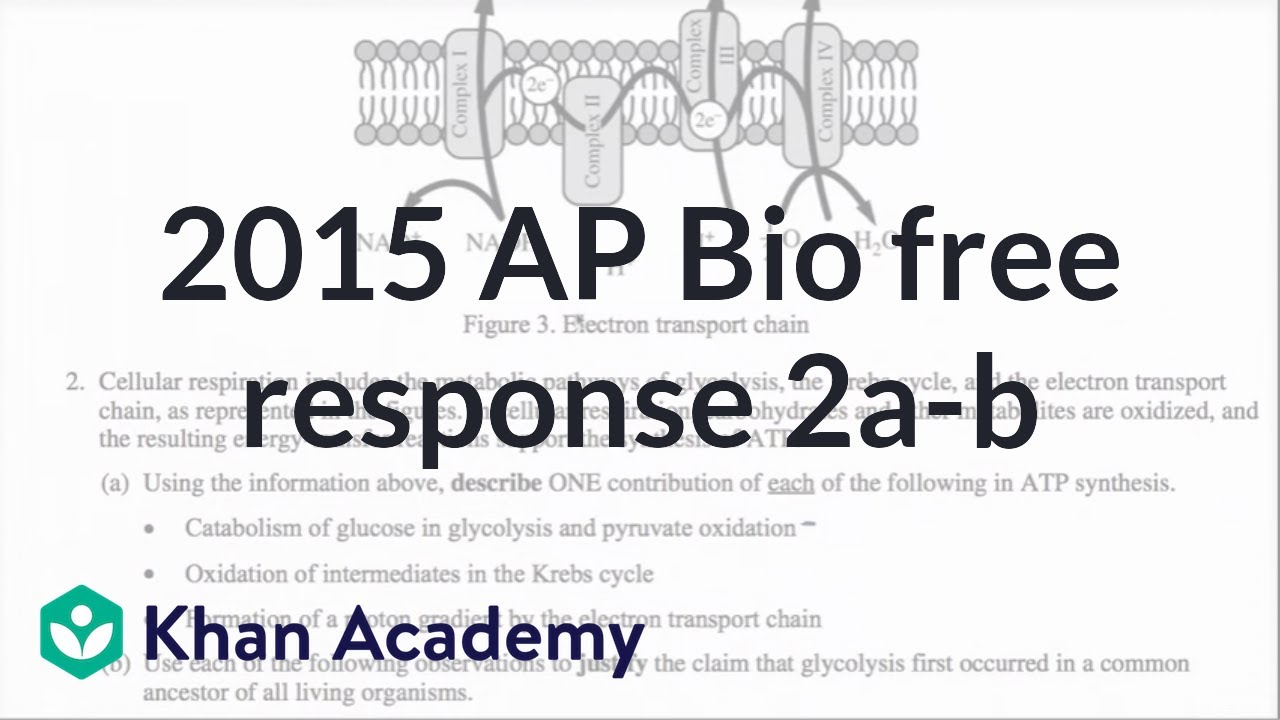 Death penalty pros and cons statistics