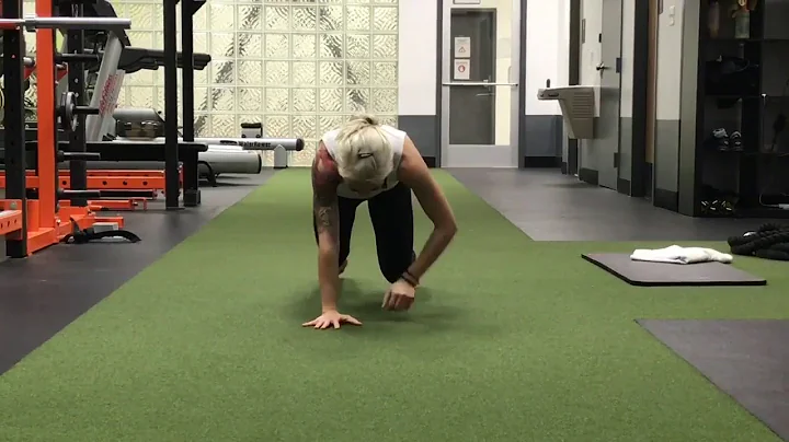 Quadruped Locomotion 🚂