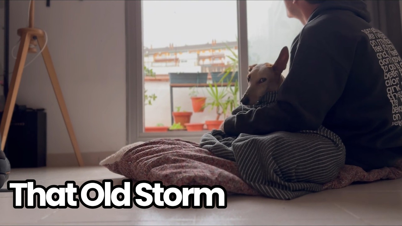 Life Like Charlie & Jason Bradford- That Old Storm (Official Music Video)