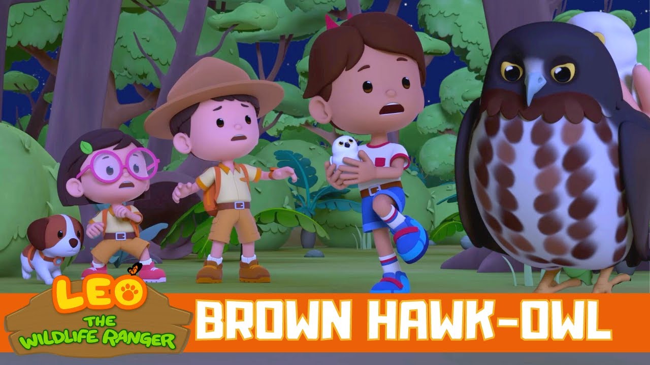 ⁣Let's find the baby Brown Hawk-Owl's mom! | Leo the Wildlife Ranger Spinoff S3E05 | @Media