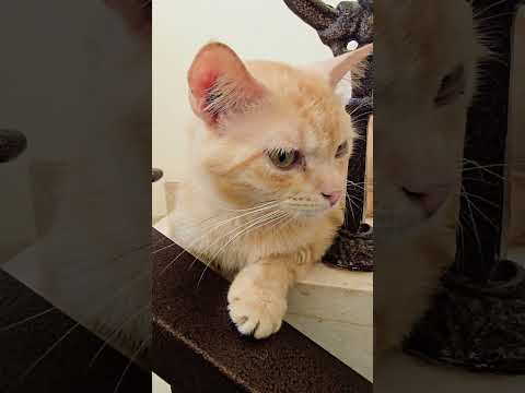 I Am In Love With You