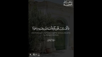 ﴿واعتصموا بحبل الله جميعا ولا تفرقوا ..﴾ | القارئ: راشد الحليبة
