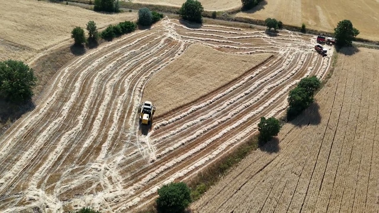 Yozgat Çekerek Kayalar Köyü - Irgatlık Zamanı Biçerler Ekin Biçiyor 27.07.2025