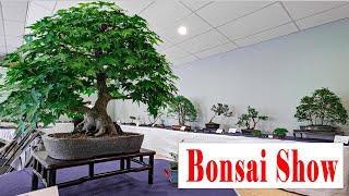 2023 Bonsai show.