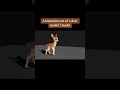 Animation test of a deer model I made! #animation #3danimation #blender3d #blender3danimation