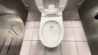 Weird Flushing Late 1990s-2000s American Stnadard Afwall