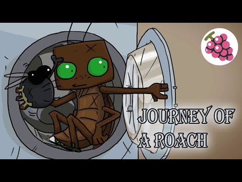 Journey of a Roach \ Прохождение