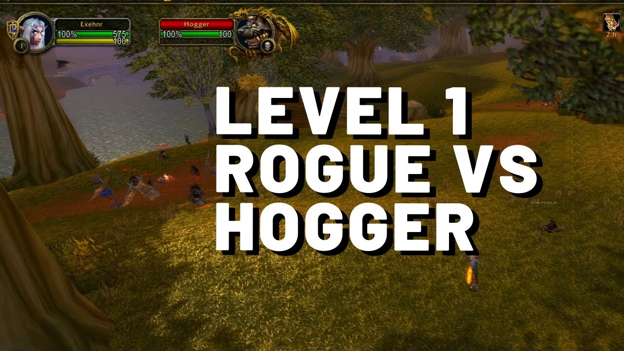 Level 1 Solo Hogger - WoW Classic