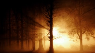 NEW CUSTOM ZOMBIE MAP! NAZI_ZOMBIE_FOREST